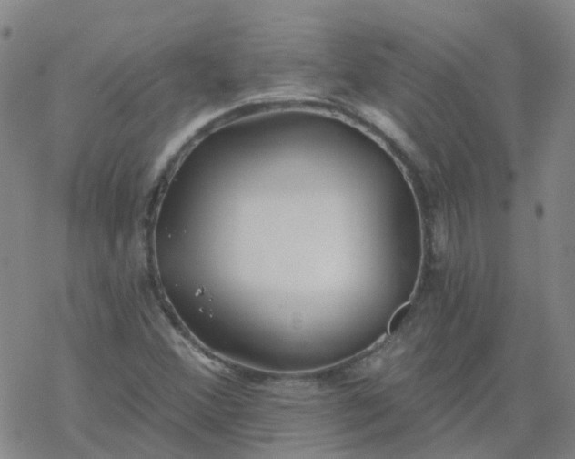 X0000069361356200605192048