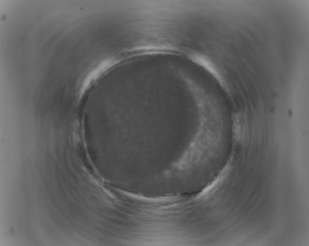 X0000069361357200605192048