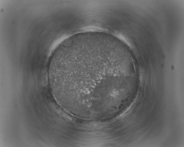 X0000069361358200605192048