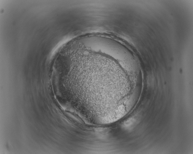 X0000069361359200605192048