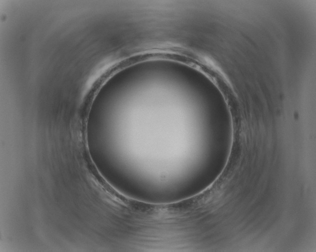 X0000069361360200605192048