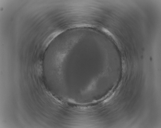 X0000069361361200605192048