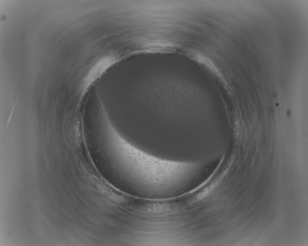 X0000069361362200605192047