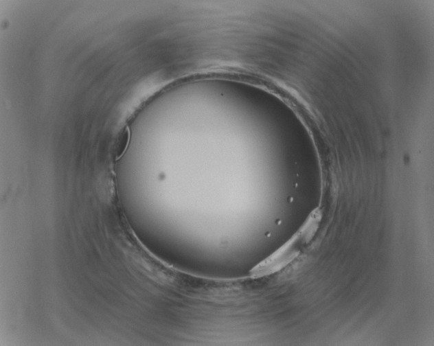 X0000069361363200605192047