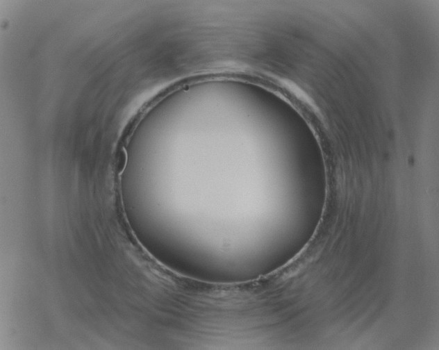 X0000069361364200605192047