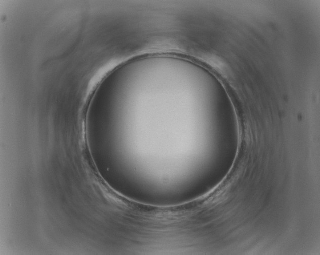 X0000069361366200605192047