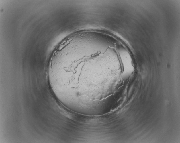 X0000069361367200605192047