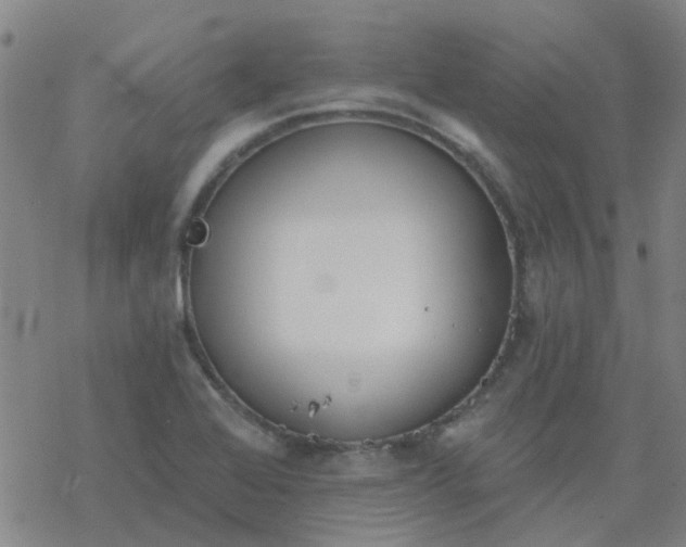 X0000069361368200605192047