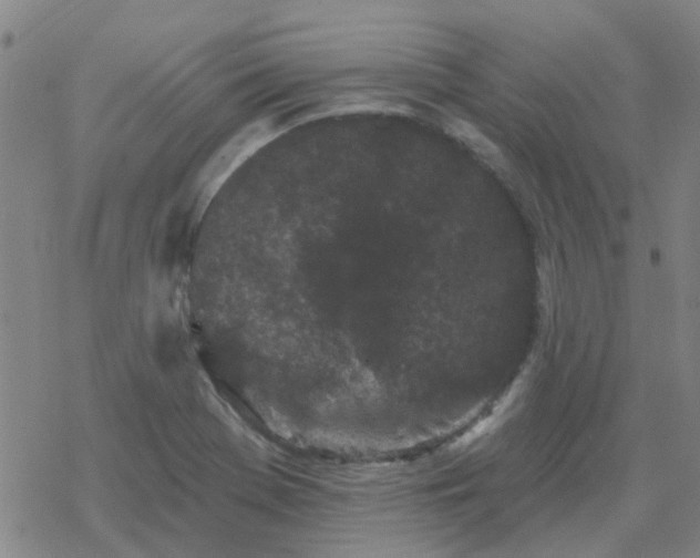 X0000069361369200605192047