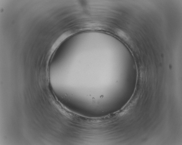 X0000069361370200605192047