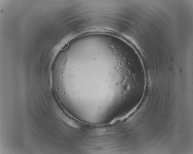 X0000069361371200605192047