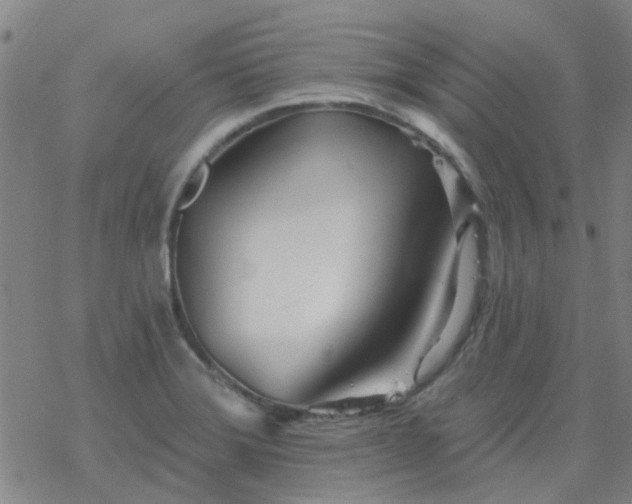 X0000069361372200605192047