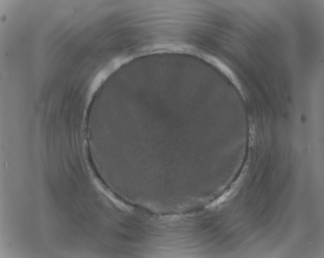 X0000069361373200605192047