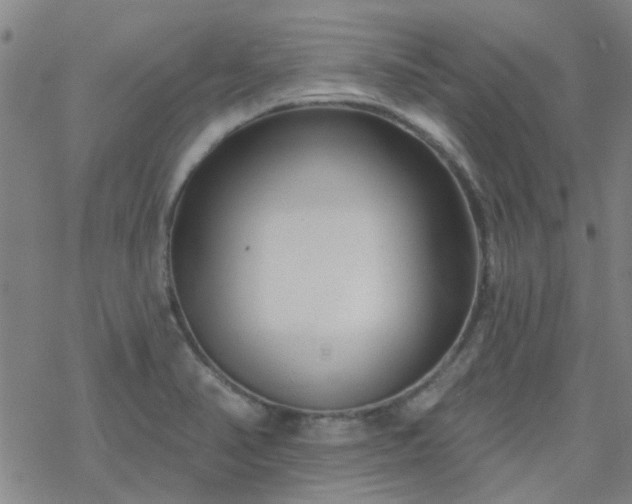 X0000069361374200605192047