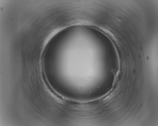 X0000069361375200605192047