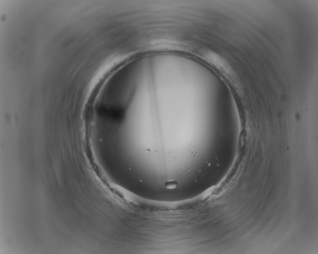 X0000069361376200605192047