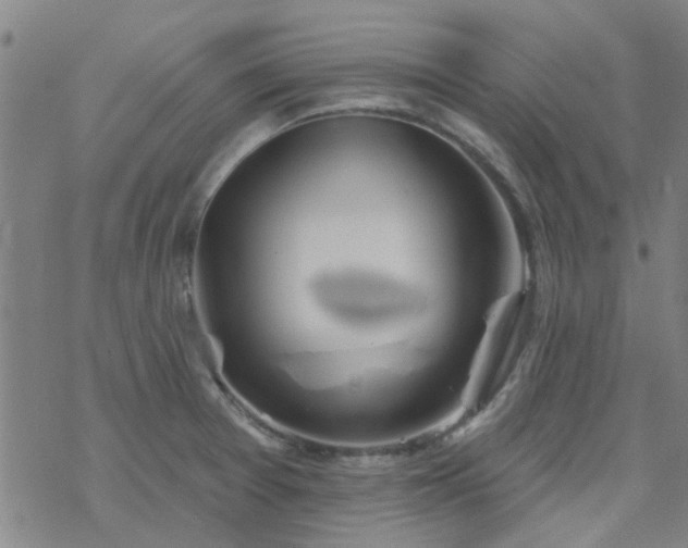 X0000069361377200605192047