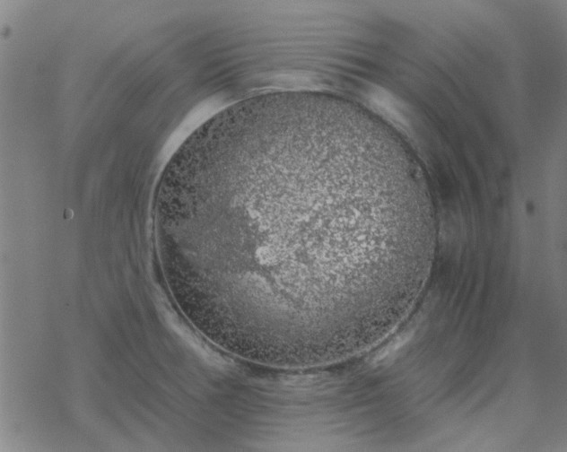 X0000069361378200605192047