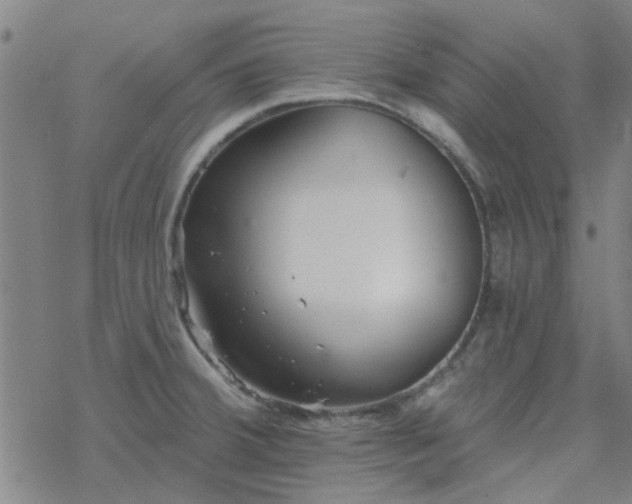 X0000069361380200605192047