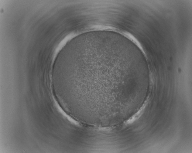 X0000069361381200605192047