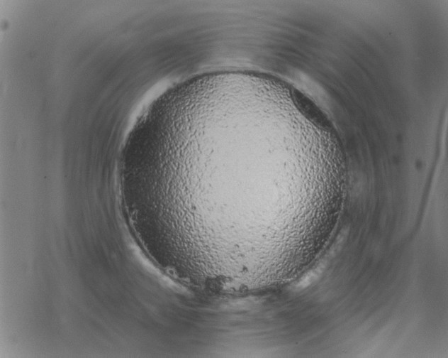 X0000069361382200605192047