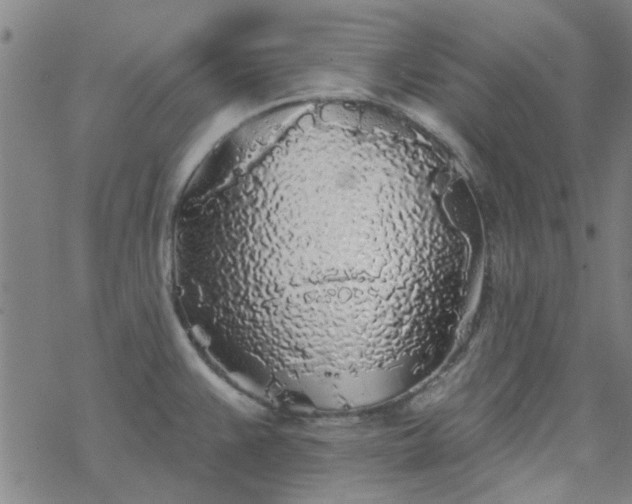 X0000069361383200605192047