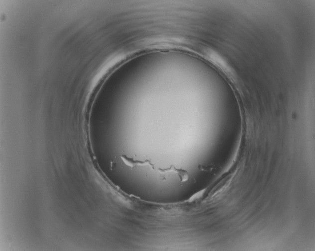 X0000069361384200605192047