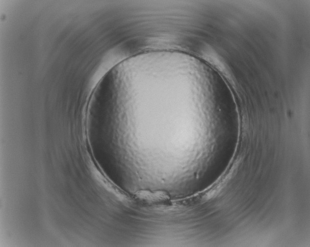 X0000069361386200605192047