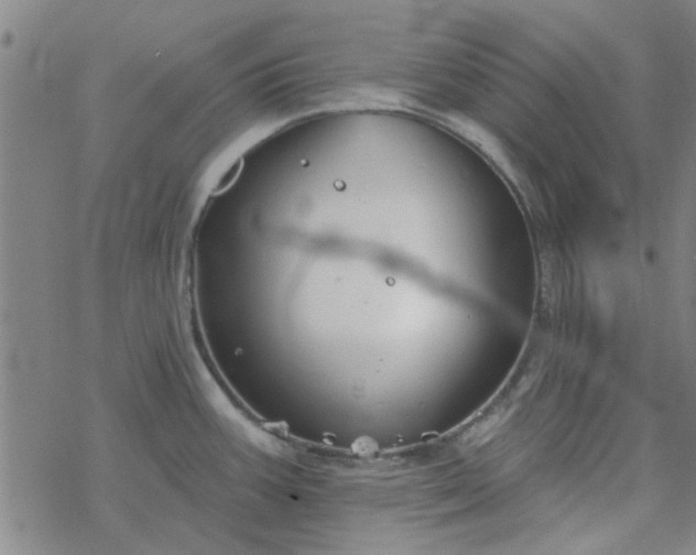 X0000069361387200605192047