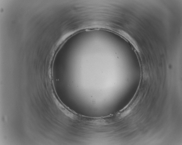 X0000069361388200605192047