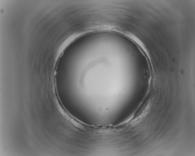 X0000069361389200605192047