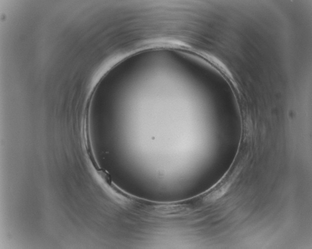 X0000069361391200605192047