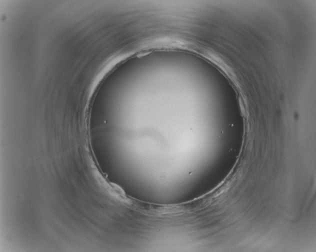 X0000069361392200605192047