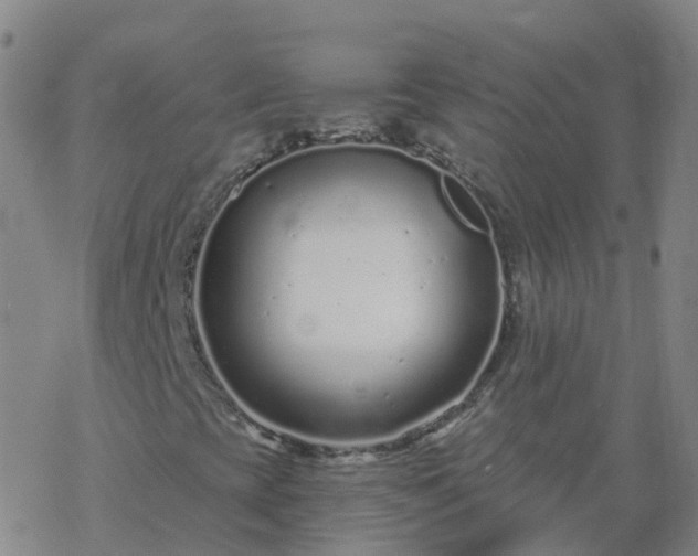 X0000069361393200605192046