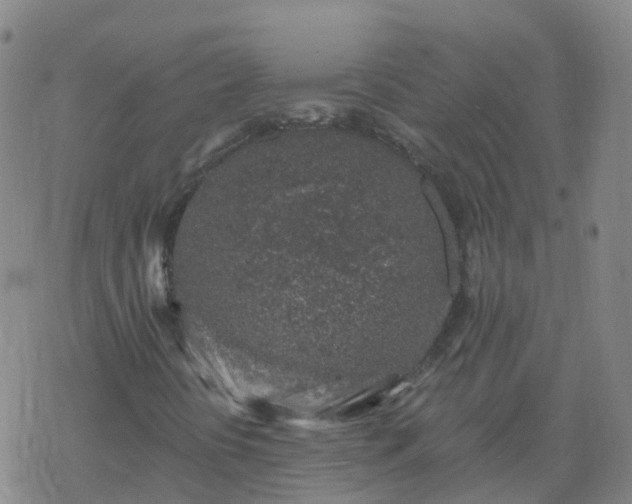 X0000069361394200605192046