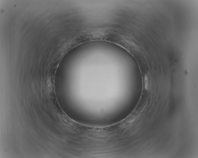 X0000069361395200605192046