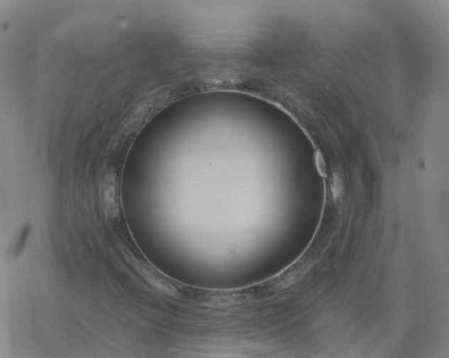 X0000069361396200605192046