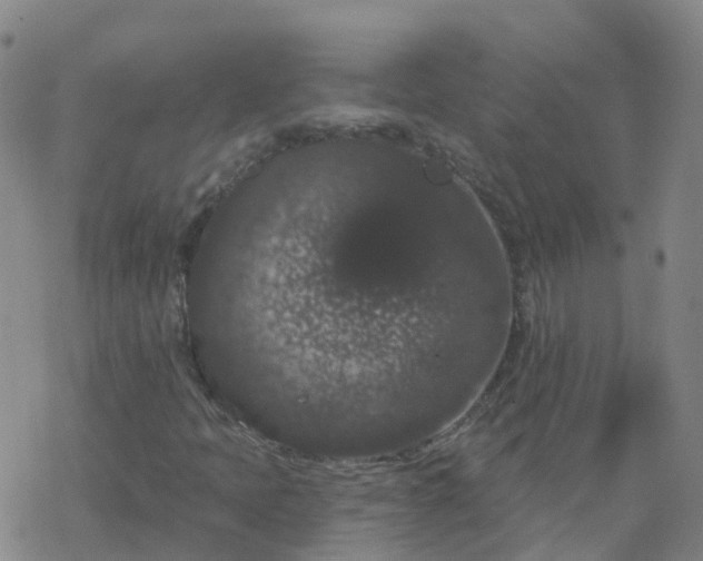 X0000069361397200605192046