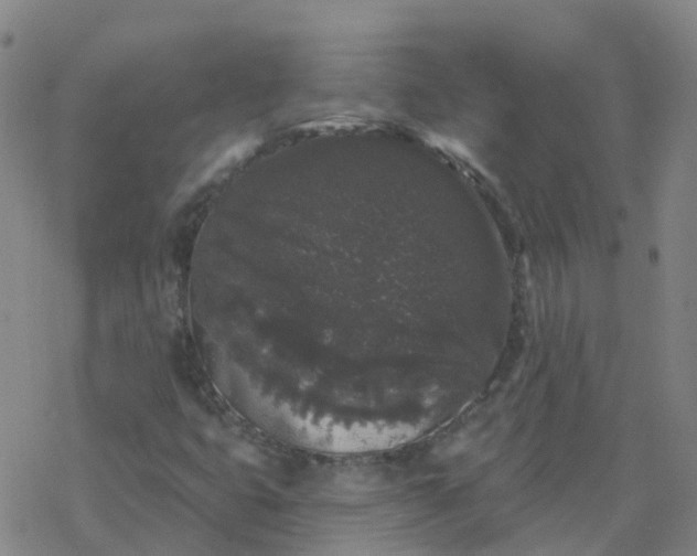 X0000069361399200605192046