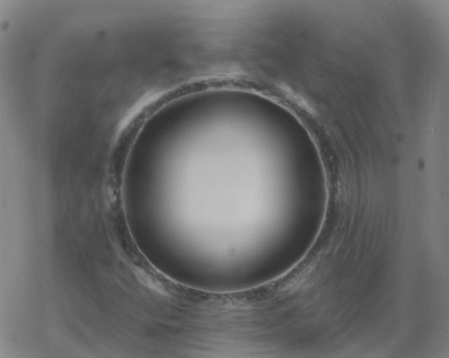 X0000069361400200605192046