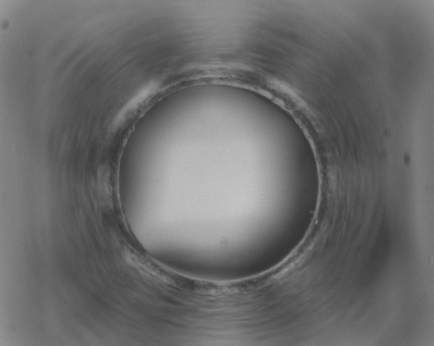 X0000069361403200605192046