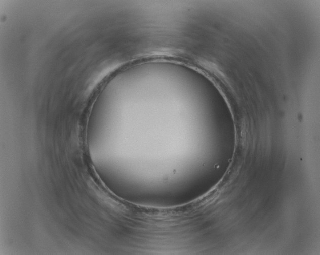 X0000069361404200605192046