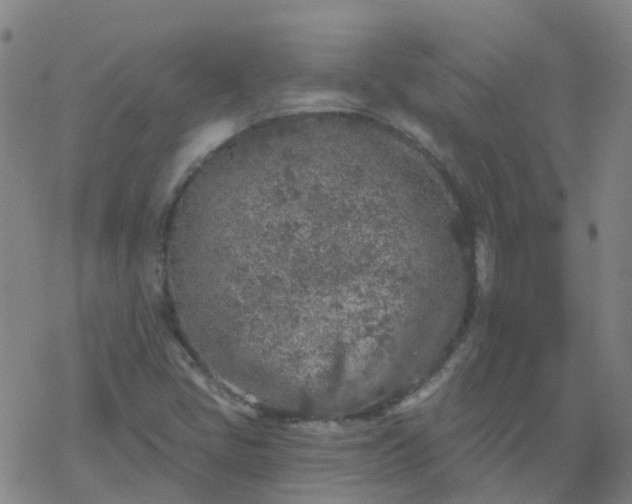 X0000069361405200605192046