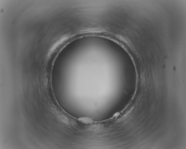 X0000069361406200605192046