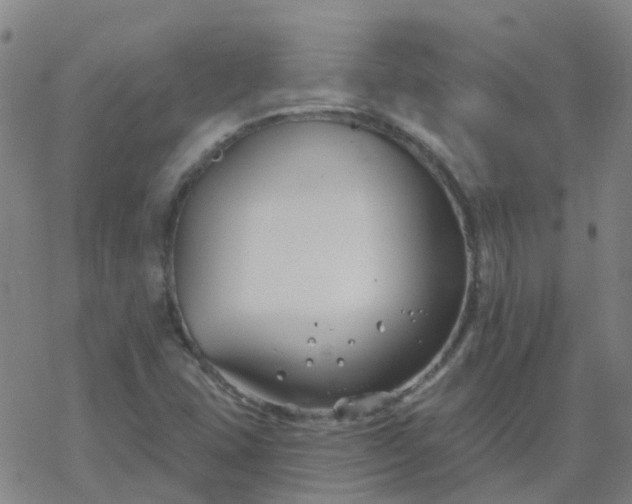 X0000069361407200605192046