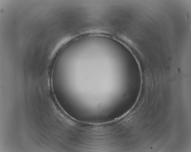 X0000069361408200605192046