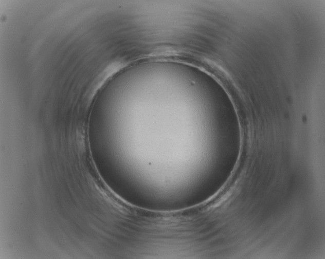 X0000069361409200605192046