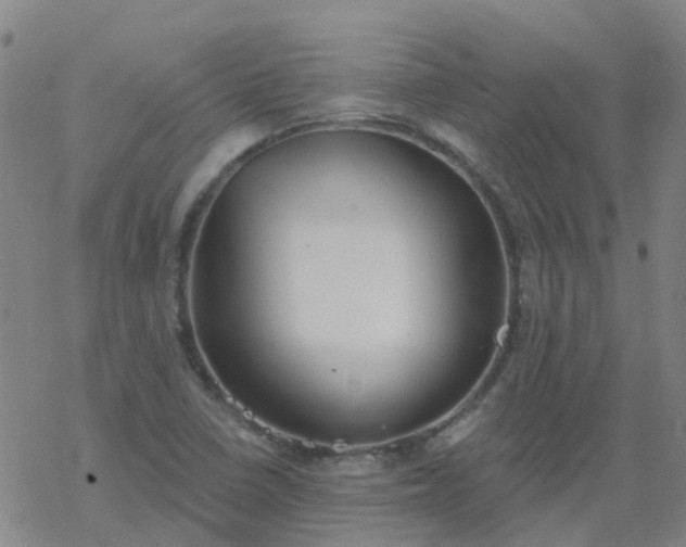 X0000069361410200605192046