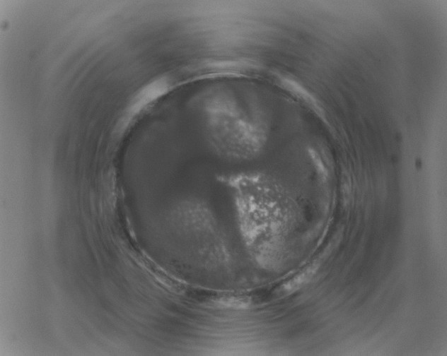 X0000069361411200605192047