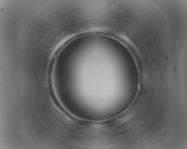 X0000069361412200605192047